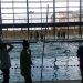 Les jeunes officiels de l’UNSS natation
