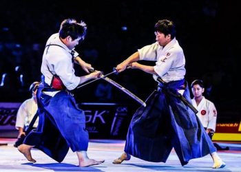 Le Festival des Arts Martiaux à l’AccorHotels Arena