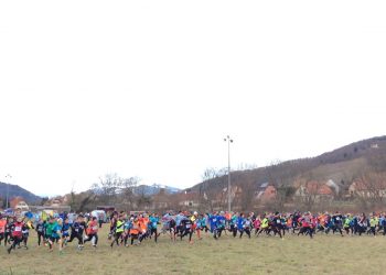 Cross UNSS Alsace : Des juniors combatifs