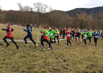 Cross UNSS Alsace : Les benjamins ouvrent le bal