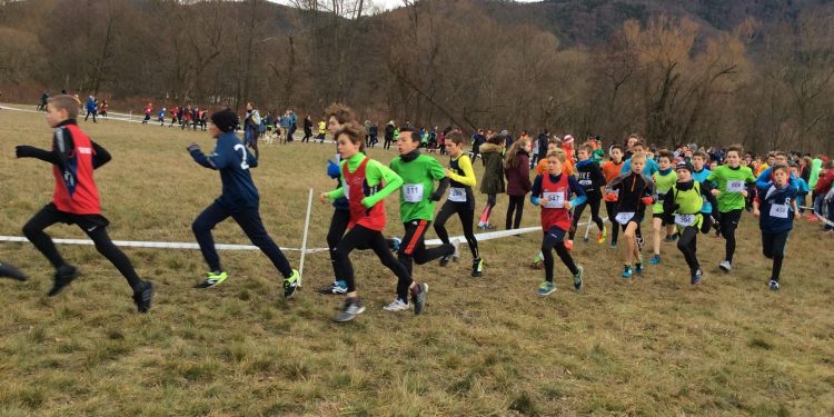 Cross UNSS Alsace : Les benjamins ouvrent le bal