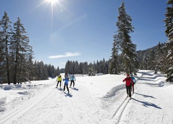 Ski de fond : La Coupe de France dans le Vercors