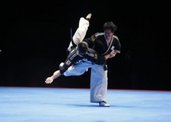 Le 33ème Festival des Arts Martiaux le 24 mars