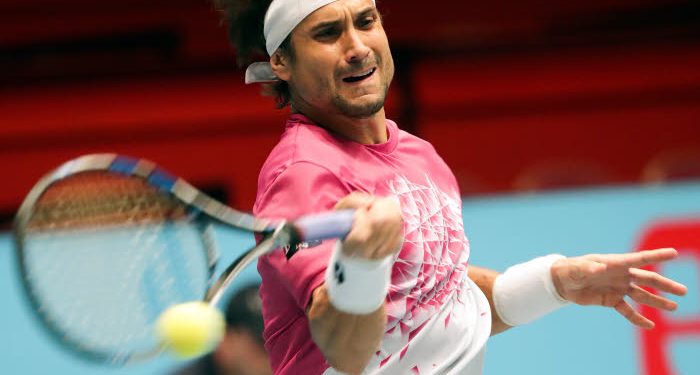 Open Sud de France : David Ferrer sera présent