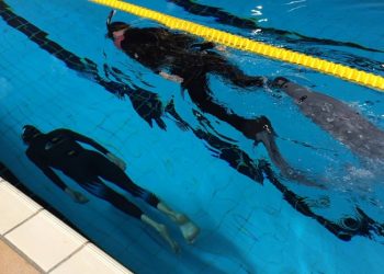 Cédric Seyral : « Des athlètes de très haut-niveau »