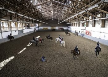 Le centre équestre de Reims : Un club qui monte !