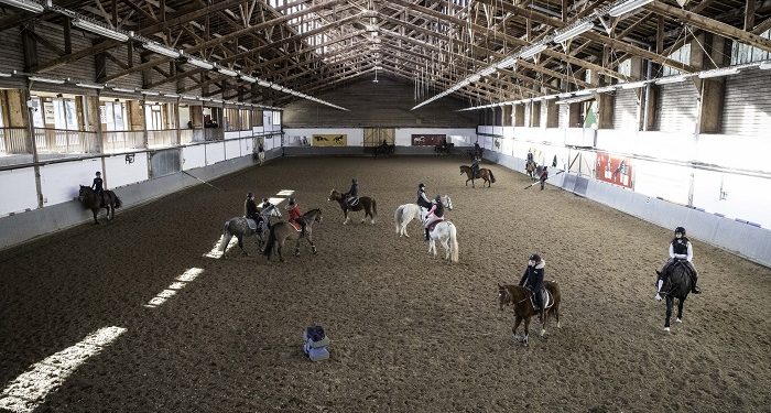 Le centre équestre de Reims : Un club qui monte !