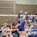 Golden European League : Les Bleues battues par la Finlande