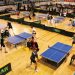 L’Open catalan de tennis de table fête ses dix-huit ans