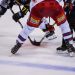 La Ligue Magnus change de nom