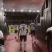 Football Manager 2019 sortira le 2 novembre