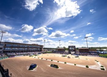 Jeux équestres mondiaux 2018 : La France 4e après le dressage