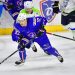 Hockey sur glace : premier rassemblement pour les Bleus