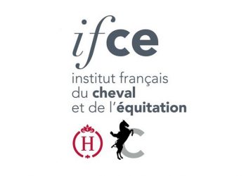 Jean-Roch Gaillet nouveau directeur général de l’IFCE