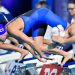 Championnats de France de natation : résultats de la 4e journée