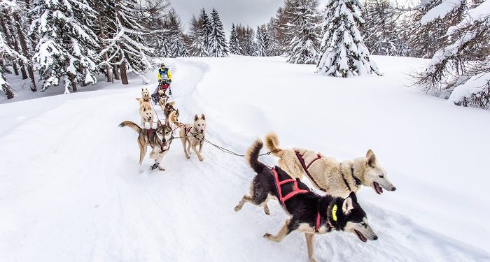 Alpina, chronométreur de La Grande Odyssée Savoie Mont Blanc