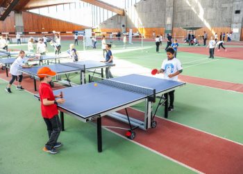 Michel Savin demande un mécénat en faveur du sport