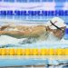 Mondiaux de natation 25m 2018 : les résultats des Français