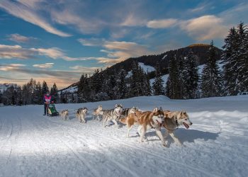 Alpina partenaire de la Grande Odyssée Savoie Mont-Blanc 2019