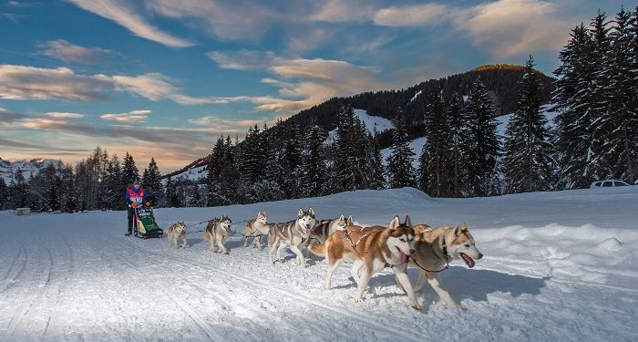 Alpina partenaire de la Grande Odyssée Savoie Mont-Blanc 2019