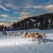 Alpina partenaire de la Grande Odyssée Savoie Mont-Blanc 2019