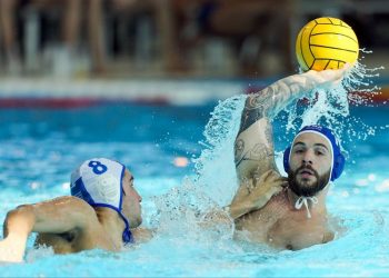 Ligue mondiale de water-polo : le groupe contre l’Italie