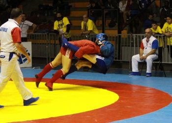 Ceyrat accueille l’élite du Sambo français