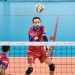 Volley : le programme des demi-finales de Ligue AM