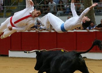La course landaise : athlétique, pacifique… et spectaculaire