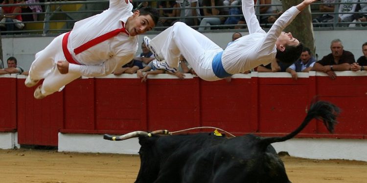 La course landaise : athlétique, pacifique… et spectaculaire