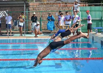 Les Gecko Games font briller Madagascar