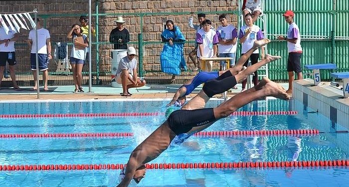 Les Gecko Games font briller Madagascar