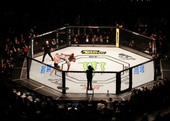 La fédération française de lutte prête à accueillir le MMA