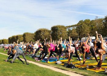 Le sport santé au cœur du débat