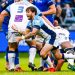 TOP 14 : le programme de la 25e journée