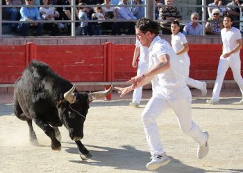 Les courses camarguaises, une vraie identité culturelle