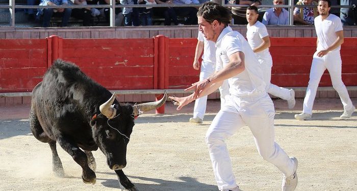 Les courses camarguaises, une vraie identité culturelle