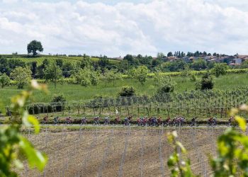 Giro 2019 : le profil de la 8e étape