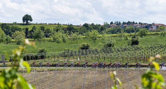 Giro 2019 : le profil de la 8e étape