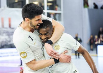 Handball : les résultats de la 22e journée de Lidl Starligue
