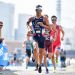 Triathlon : une nouvelle victoire pour Vincent Luis