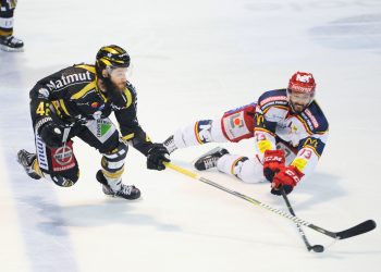 SYNERGLACE reste le partenaire titre de la Ligue Magnus