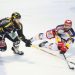SYNERGLACE reste le partenaire titre de la Ligue Magnus