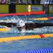 Les résultats de la 1re journée de l’Open de France de natation