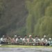 Le programme des championnats de France bateaux longs d’aviron