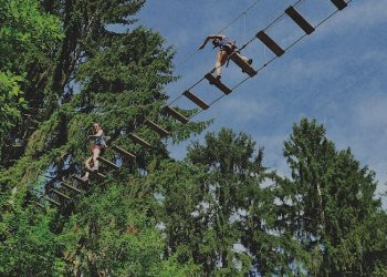 Sports de plein air : accrobranche dans les Ardennes