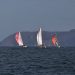 Normandie : le Tour des Ports de la Manche à la voile en juillet