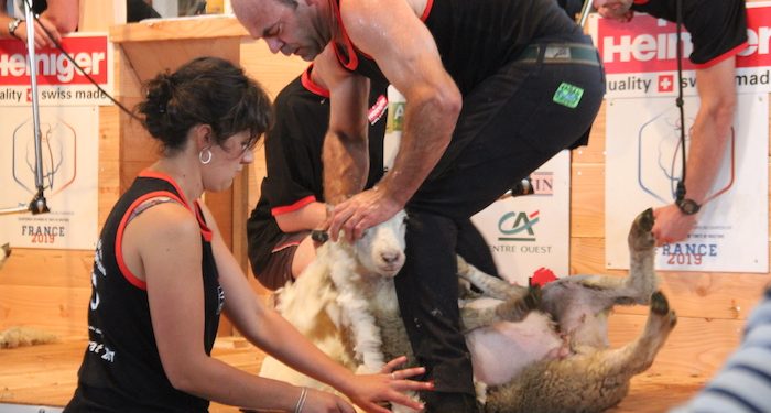 Les résultats du Championnat du monde de tonte de moutons 2019