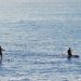 Sports de plein air : Stand Up Paddle en Normandie