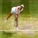 Wimbledon 2019 : Halep et Williams en finale